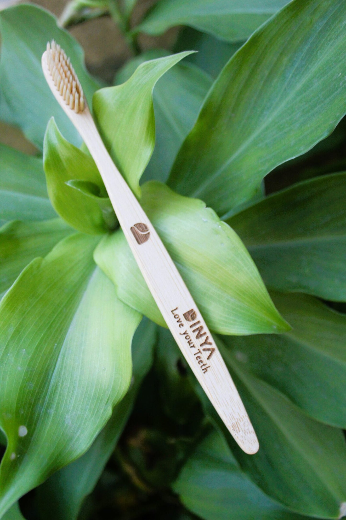 Dinya bamboo toothbrush sandal