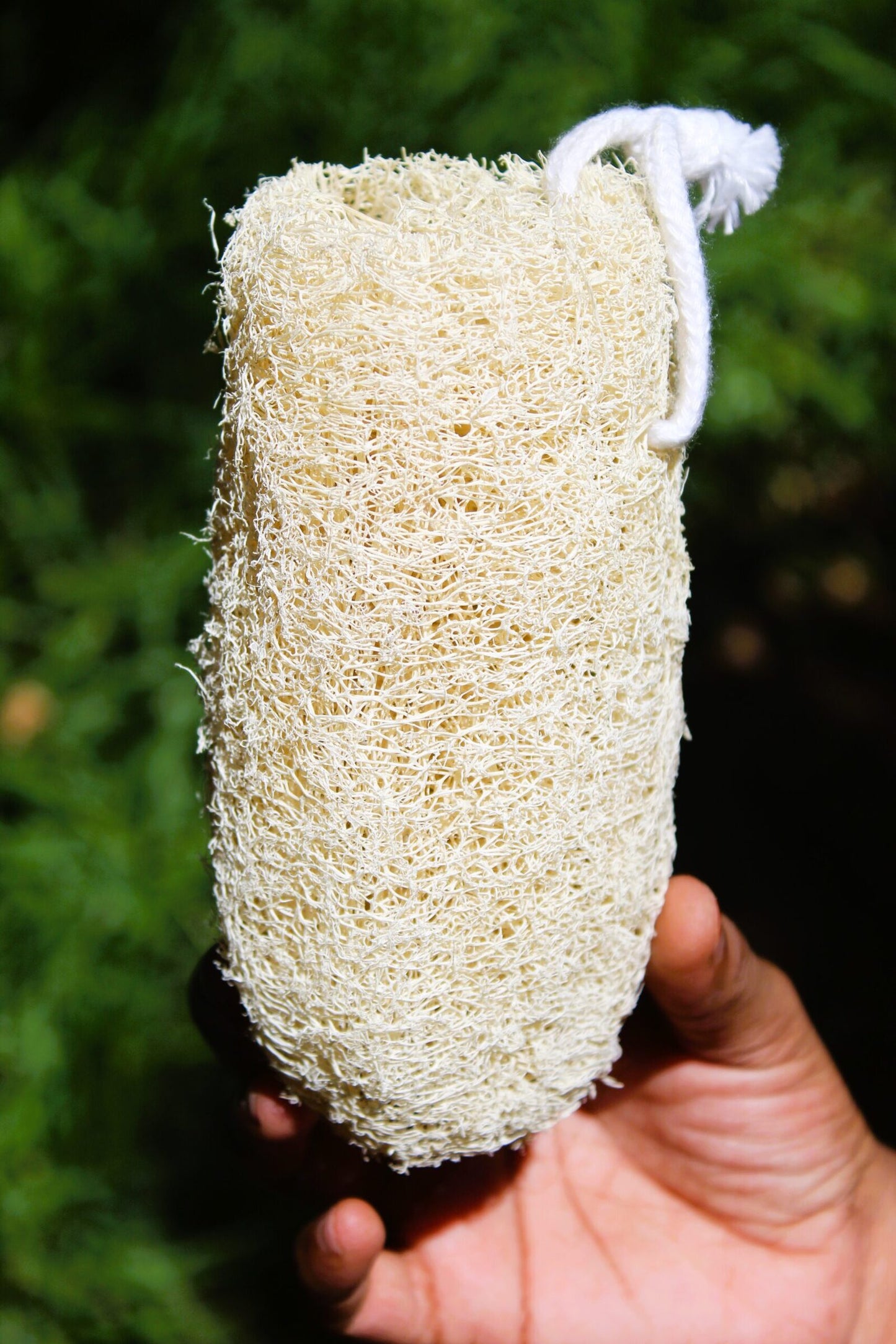 Dinya Cylindrical loofah