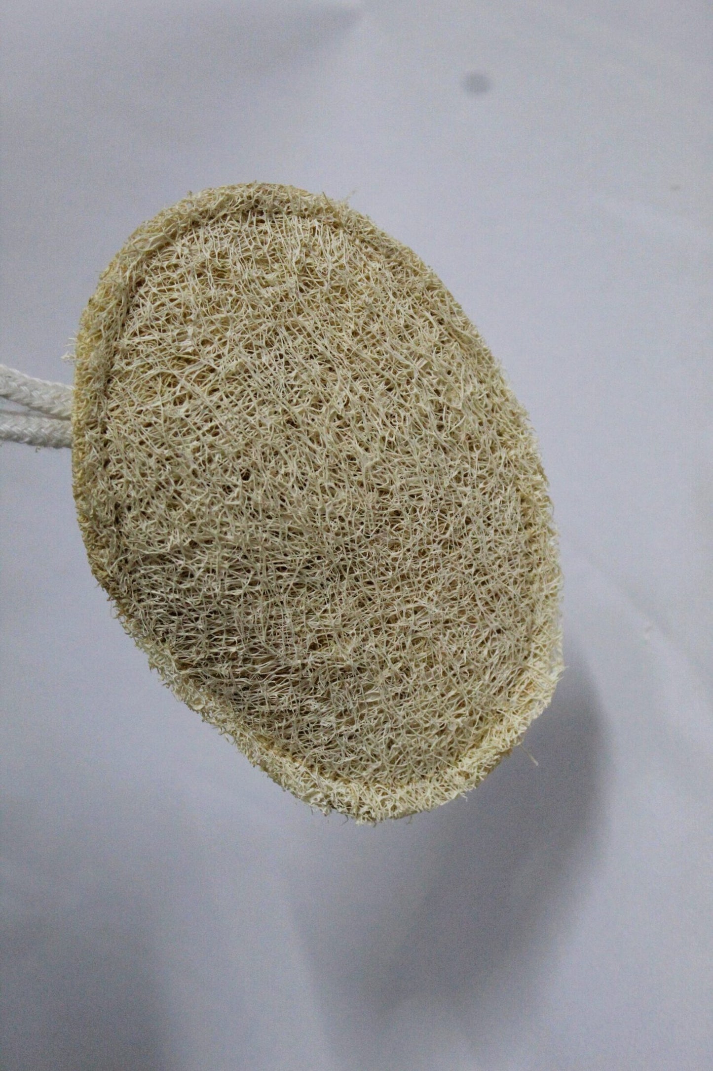 Dinya loofah oval shaped
