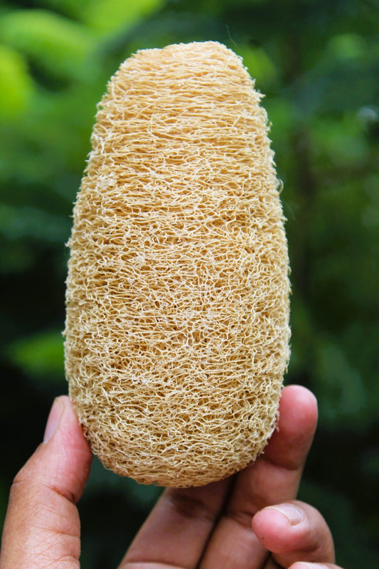 dinya organic loofah