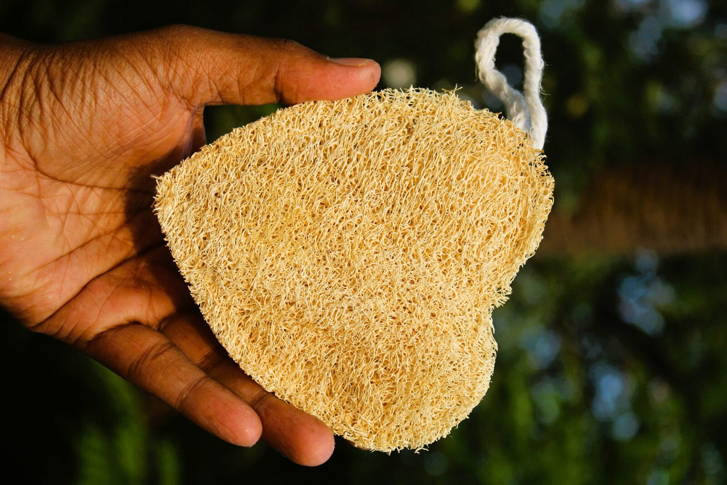 natural loofah sponge