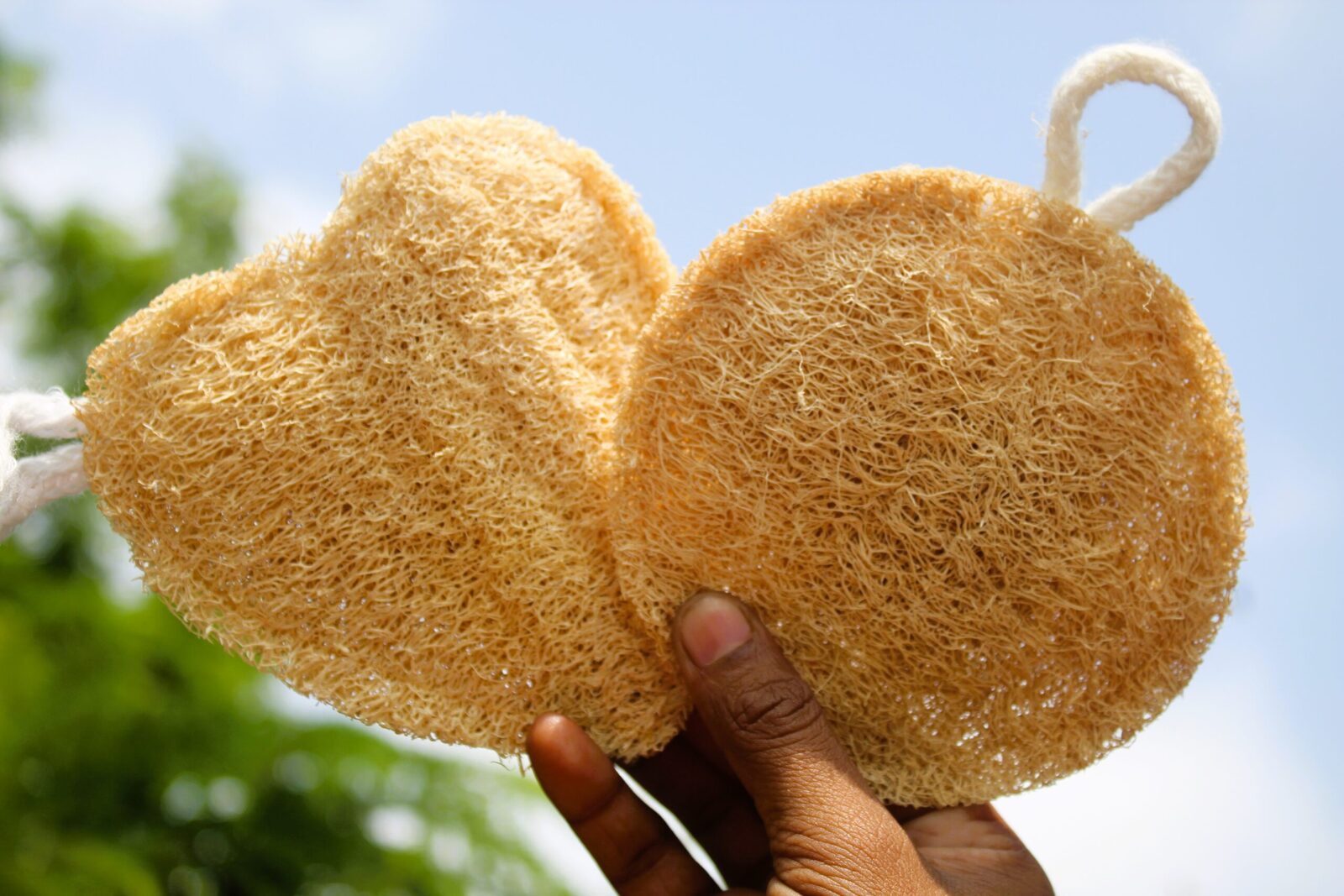 dinya heart and round shape natural loofah sponge