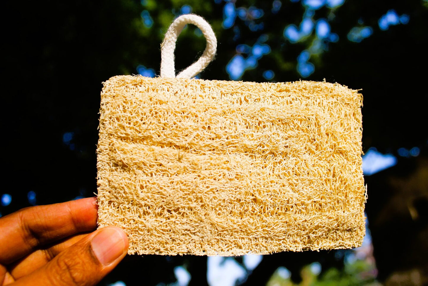 Rectangle loofah Dinya