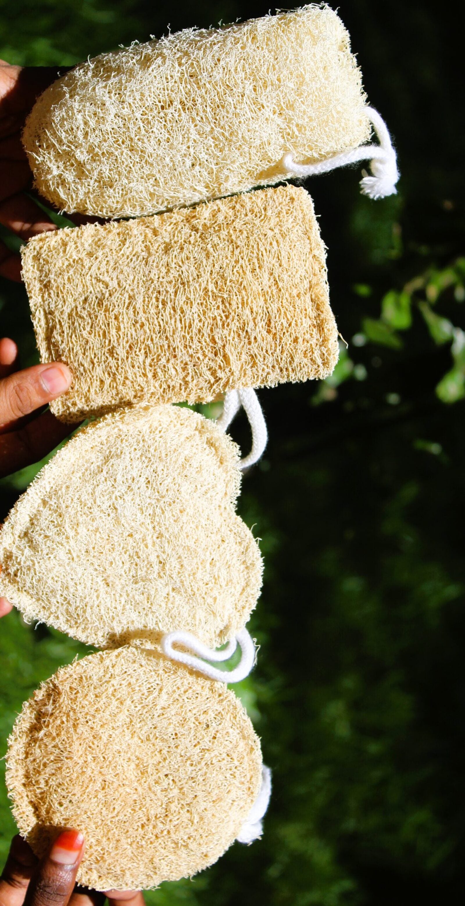 Dinya loofah pack of 4