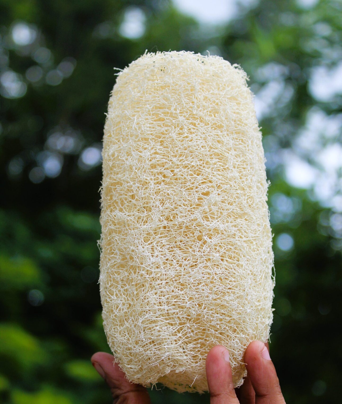 Dinya cylinder loofah