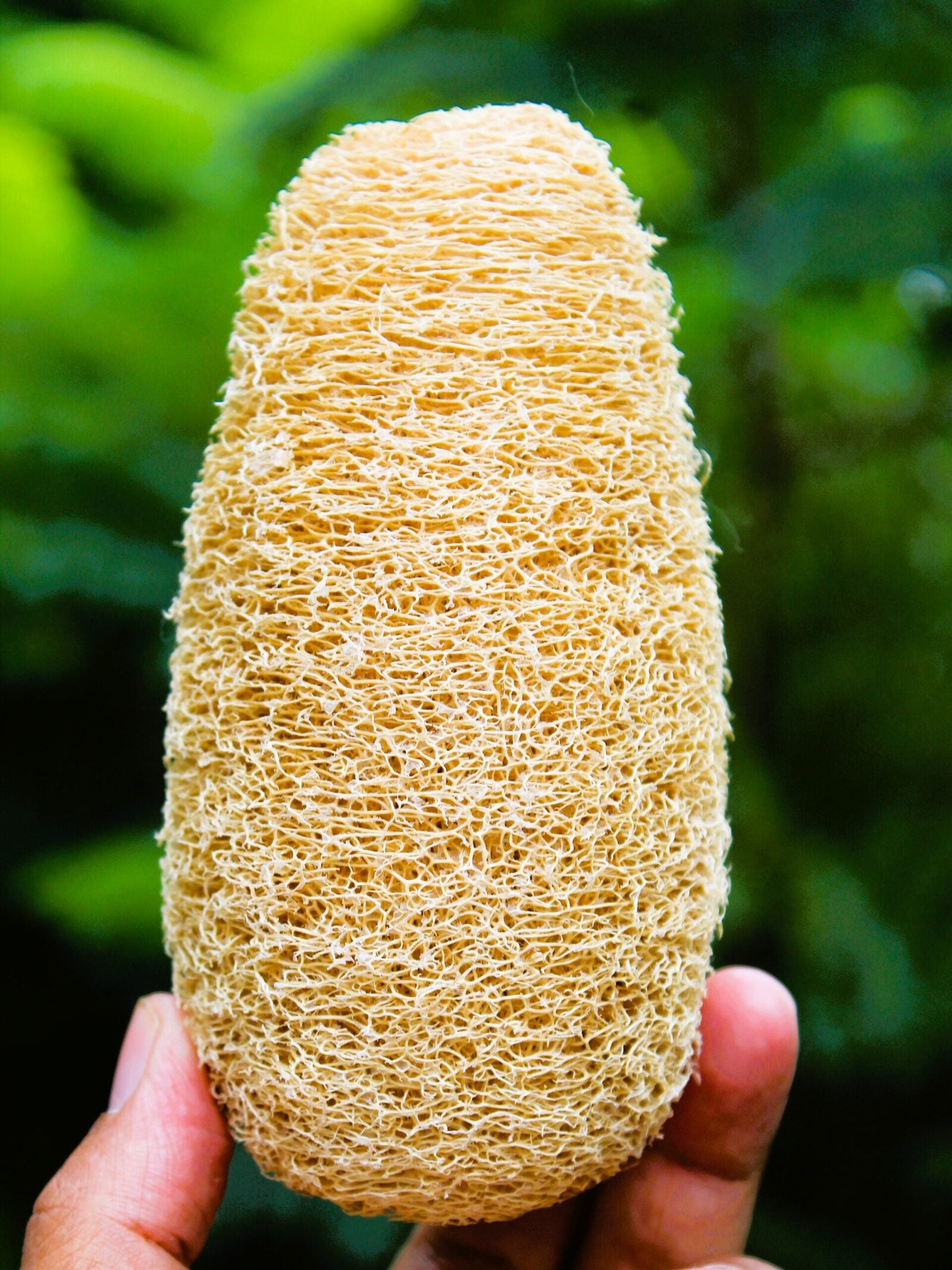 Dinya oval shape loofah