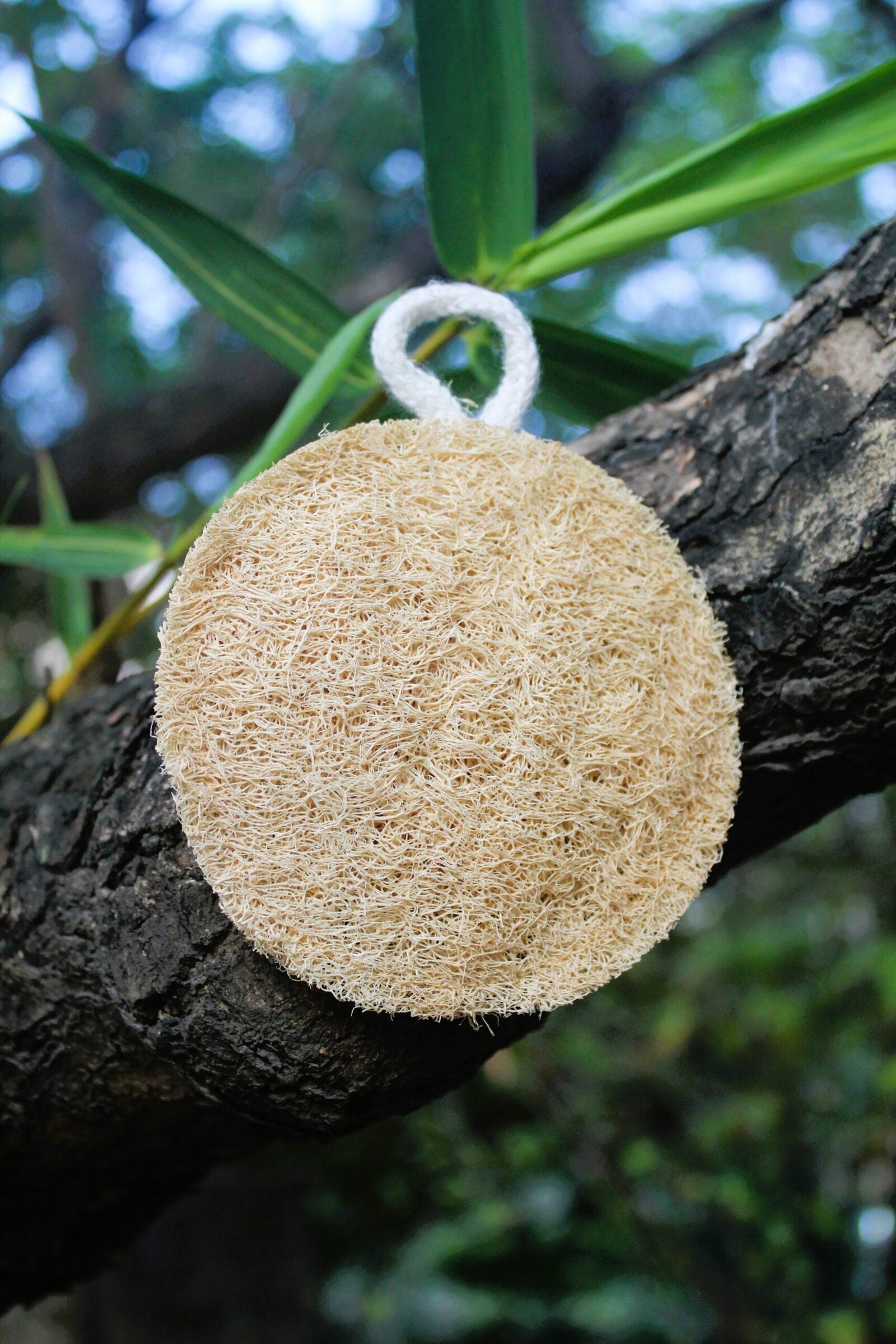 Dinya round loofah
